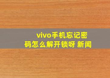 vivo手机忘记密码怎么解开锁呀 新闻